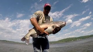 Catfishing  Catching Big Blue Catfish From The Bank Lake Guntersville [upl. by True]