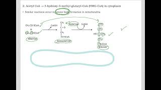 516 Understand not memorize metabolism Postprandial Cholesterol synthesis [upl. by Eihpos640]