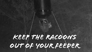 Keep the Raccoons out of your feeder [upl. by Gilson]