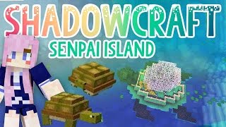 Senpai Island  Shadowcraft 20  Ep8 [upl. by Aikas]