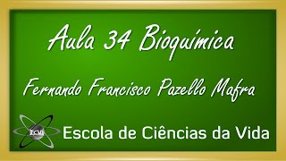 Bioquímica Aula 34  Bioenergética  Mecanismos de transferência de energia [upl. by Henley]