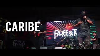 Toledo amp Pure Vibez Band  Caribe En vivo 2019 [upl. by Atelokin385]