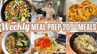 WEEKLY MEAL PREP 20 MINUTE MEALS  PREP ONCE EAT ALL WEEK [upl. by Ludwog]