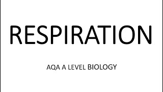 RESPIRATION  AQA A LEVEL BIOLOGY  EXAM QUESTION RUN THROUGH [upl. by Lemaj675]