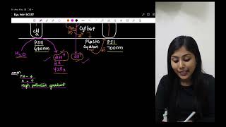 Chemiosmotic hypothesis  Photosynthesis in higher plants NEET [upl. by Saphra]