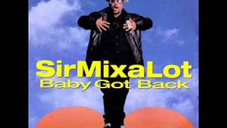 Sir Mix Alot  Baby Got Back Lyrics [upl. by Suirtimid729]