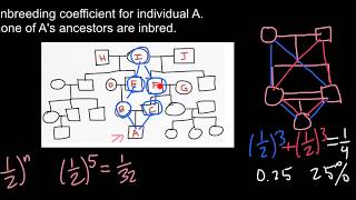 How to Find Inbreeding Coefficient [upl. by Xylon]