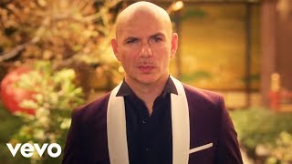 Pitbull Fifth Harmony  Por Favor Official Video [upl. by Crellen367]