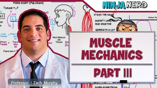 Musculoskeletal System  Muscle Mechanics  Types of Contractions amp Levers [upl. by Eladnek109]