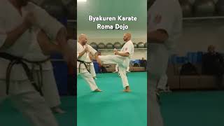 Byakuren Karate seminar in Rome 4 fullcontactkarate karate mma [upl. by Ardaed]