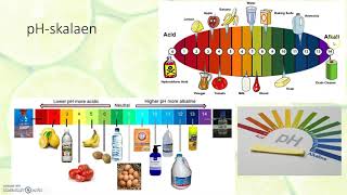 Syrer og baser  hvad er det [upl. by Ehcsrop78]