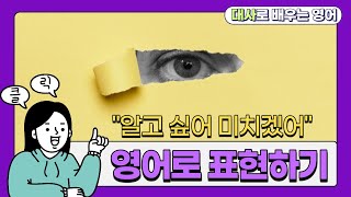 알고 싶어 미치겠어  Im  to know 영어 표현 미드 대사 속 표현 [upl. by Amye289]