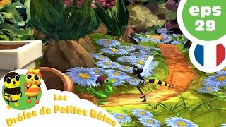 DRÔLES DE PETITES BÊTES  EP29  Qui veut des bisous [upl. by Adnovaj]