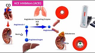 Renin  Angiotenisn inhibitors ACEi ARB and Aliskerin [upl. by Trimmer]