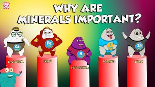 Why Are Minerals Important  Functions Of Minerals  The Dr Binocs Show  Peekaboo Kidz [upl. by Rihaz672]