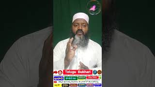 islam education system Quran amp islam Telugu Shorts Viral TeluguBukhari [upl. by Ileyan]