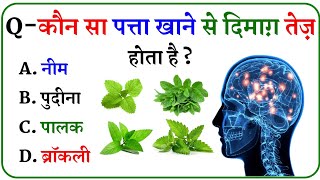 कौन सा पत्ता खाने से दिमाग़ तेज़ होता है  Gk Question  General knowledge  Gk Question Answer [upl. by Eon56]