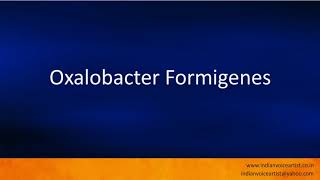 Pronunciation of the words quotOxalobacter Formigenesquot [upl. by Repip]