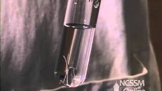 Reaction of Magnesium and Water [upl. by Ennovyhc]