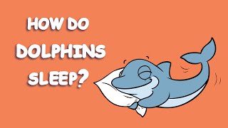 How do Dolphins Sleep [upl. by Ajim]