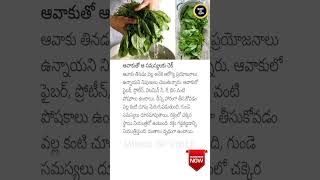 Fix These Problems with Mustard 🌿 HealthTips [upl. by Atnwahs499]