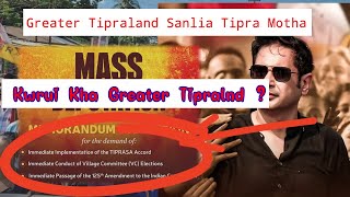 Greater Tipraland Sanlia Mass Deputation ow ll Mass Deputation ll Tipra Motha ll [upl. by Oaoj]