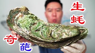 巨大生蚝4 0，这次老板说肯定不会翻车，我们来赌一把【小文哥吃吃吃】 [upl. by Arretahs]