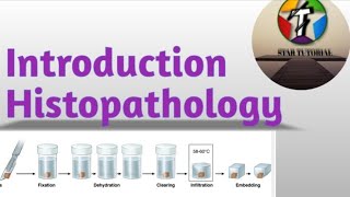 Introduction to Histopathology in Hindi ll Histopathology ll [upl. by Tristan]