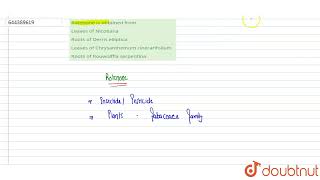 Rotenone is obtained from  12  MOCK TEST 37  BIOLOGY  AAKASH INSTITUTE ENGLISH  Doubtnut [upl. by Moria]