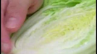 Cooking Tips  How to Clean Napa Cabbage [upl. by Eibrad]