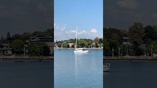 A small sailboat’s peaceful journey  Frenchman’s Bay Pickering [upl. by Nasya307]