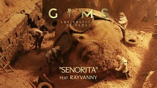 GIMS  SEÑORITA feat Rayvanny Audio Officiel [upl. by Forlini]