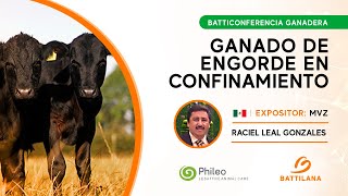 Batticonferencia Ganadera  Ganado de Engorde en Confinamiento [upl. by Kneeland]