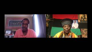 Remembering Dr Runoko Rashidi  Part 1 [upl. by Nerrawed372]