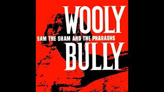 Sam The Sham And The PharaohsWooly BullyExtended Mix [upl. by Arinay628]