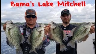 Crappie Fishing Alabamas Lake Mitchell [upl. by Thoer801]