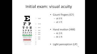 Basic Eye Exam  Part I [upl. by Marx]