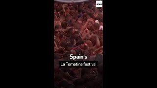 Spain’s La Tomatina festival [upl. by Aneg]