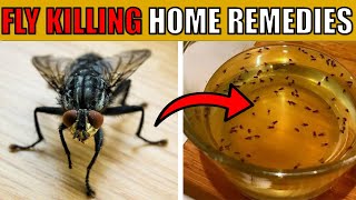 How to Get Rid of Flies and Mosquitoes [upl. by Meilen579]