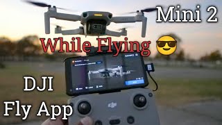 DJI Mini 2 App Functions Camera amp Controller for Beginners [upl. by Kwarteng798]