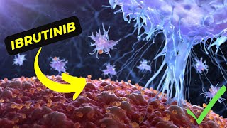 Ibrutinib The Breakthrough Treatment for Blood Cancer [upl. by Ynnus949]