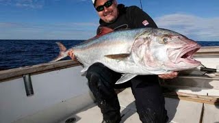 Angeln im Mittelmeer Auf Amberjack in der Kroatischen Adria [upl. by Anadal]