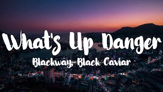 Blackway amp Black Caviar  Whats Up Danger Lyrics [upl. by Assiren]