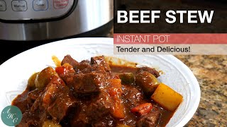 Instant Pot Recipe Beef Stew  Easy and Delicious Dish [upl. by Lunna396]