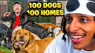 Mr Beast Found 100 Dogs 100 Homes [upl. by Anet]