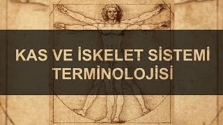 Kas ve İskelet Sistemi Terminolojisi temel terimler 3 [upl. by Naugan606]