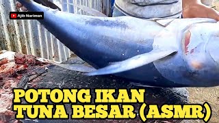 Potong Ikan Tuna Besar ASMR [upl. by Ennaed]