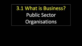 31 11 Public Sector Organisations [upl. by Publius439]