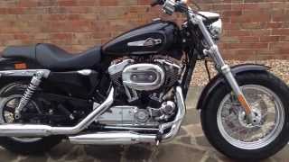 Harley davidson 1200 custom Xl sportster review 2015 [upl. by Jem]