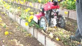 HONDA FF 500 al lavoro in una serra di ranuncoli [upl. by Tunnell]